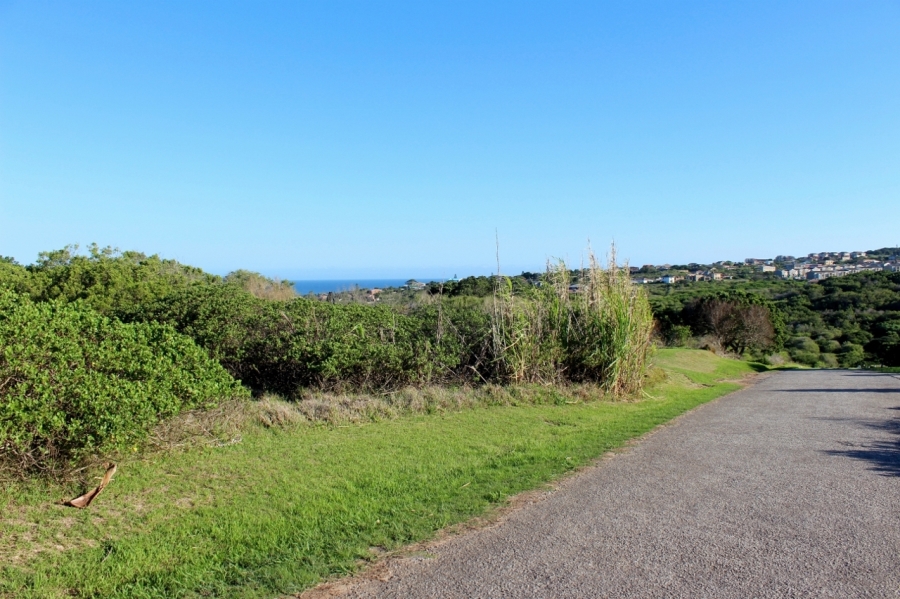 0 Bedroom Property for Sale in Forest Downs Eastern Cape